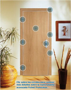 Protecdoor